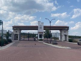  Grundstück zu verkaufen in El Marques, Queretaro, El Marques