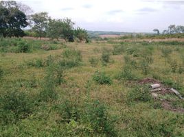  Land for sale in Pereira, Risaralda, Pereira