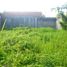  Land for sale in Ubud, Gianyar, Ubud