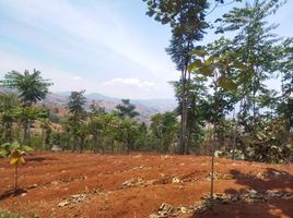  Land for sale in Garut, West Jawa, Karangpawitan, Garut