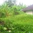  Terrain for sale in Sukawati, Gianyar, Sukawati