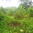  Terrain for sale in Sukawati, Gianyar, Sukawati