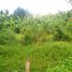  Terrain for sale in Sukawati, Gianyar, Sukawati