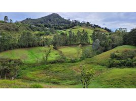 2 Habitación Casa en venta en Colombia, Rionegro, Antioquia, Colombia