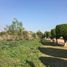  Land for sale in Huitzilac, Morelos, Huitzilac