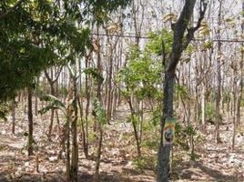  Land for sale in Nganjuk, East Jawa, Rejoso, Nganjuk