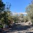  Land for rent in Pachuca De Soto, Hidalgo, Pachuca De Soto, Hidalgo