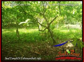  Land for sale in Tabanan, Bali, Selemadeg, Tabanan