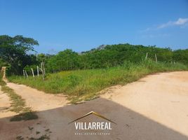  Terreno (Parcela) en venta en Jose Azueta, Guerrero, Jose Azueta