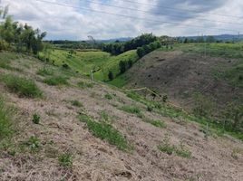  Terreno (Parcela) en venta en Ulloa, Valle Del Cauca, Ulloa