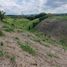  Land for sale in Ulloa, Valle Del Cauca, Ulloa