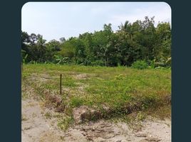  Tanah for sale in Bantul, Yogyakarta, Kasihan, Bantul