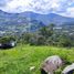  Land for sale in Girardota, Antioquia, Girardota