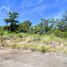  Land for sale in Coatepec, Veracruz, Coatepec