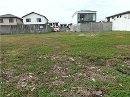  Terreno (Parcela) en alquiler en Ciudad de Panamá, Panamá, Pueblo Nuevo, Ciudad de Panamá