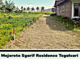  Land for sale in Banyuwangi, East Jawa, Gambiran, Banyuwangi