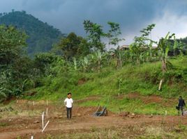  Land for sale in Ciomas, Bogor, Ciomas