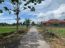 2 Schlafzimmer Haus zu verkaufen in Klaten, Jawa Tengah, Klaten Utara, Klaten