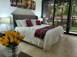 2 Habitación Departamento en alquiler en Cozumel, Quintana Roo, Cozumel, Quintana Roo