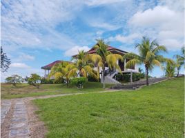 9 Bedroom House for sale in San Martin, La Banda De Shilcayo, San Martin, San Martin