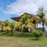 9 Bedroom House for sale in San Martin, La Banda De Shilcayo, San Martin, San Martin