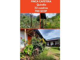 3 Habitación Villa en venta en Pijao, Quindio, Pijao