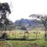  Land for sale in Guarne, Antioquia, Guarne