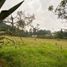  Land for sale in Guarne, Antioquia, Guarne