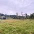  Land for sale in Guarne, Antioquia, Guarne