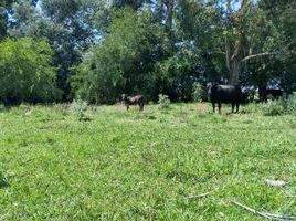  Land for sale in Exaltacion De La Cruz, Buenos Aires, Exaltacion De La Cruz