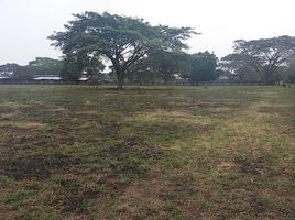  Terreno (Parcela) en venta en Palmira, Valle Del Cauca, Palmira