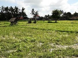  Land for sale in Sukawati, Gianyar, Sukawati