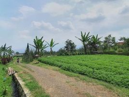  Land for sale in Malang Regency, East Jawa, Junrejo, Malang Regency