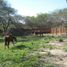  Land for sale in Formosa, Formosa, Formosa, Formosa