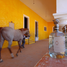 4 Bedroom Quinta for sale in El Arenal, Jalisco, El Arenal