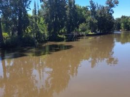  Grundstück zu verkaufen in Tigre, Buenos Aires, Tigre