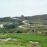  Land for sale in Amatitan, Jalisco, Amatitan