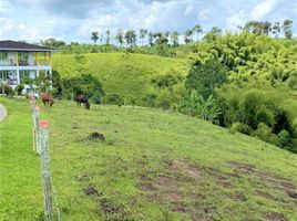  Terreno (Parcela) en venta en Dosquebradas, Risaralda, Dosquebradas