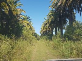  Land for sale in Colon, Entre Rios, Colon