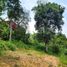  Land for sale in Envigado, Antioquia, Envigado