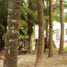 1 Bedroom House for sale in Sinanche, Yucatan, Sinanche