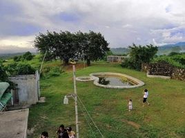  Land for sale in Pililla, Rizal, Pililla