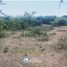  Land for sale in Punilla, Cordoba, Punilla