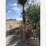  Land for rent in Torreon, Coahuila, Torreon