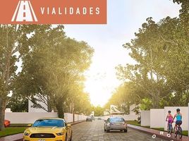  Terreno (Parcela) en venta en Progreso, Yucatán, Progreso