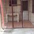 4 Schlafzimmer Haus zu verkaufen in Angeles City, Central Luzon, Angeles City, Pampanga, Central Luzon, Philippinen