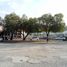  Land for rent in Tepotzotlan, Mexico, Tepotzotlan