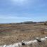  Land for sale in Tlayacapan, Morelos, Tlayacapan