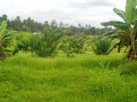  Grundstück zu verkaufen in Tabanan, Bali, Selemadeg