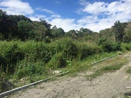  Land for sale in Vilcabamba Victoria, Loja, Vilcabamba Victoria, Loja, Loja